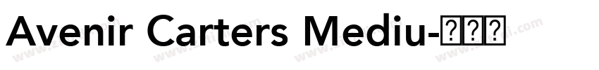 Avenir Carters Mediu字体转换
